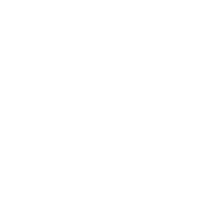 MS Consulting Konstanz